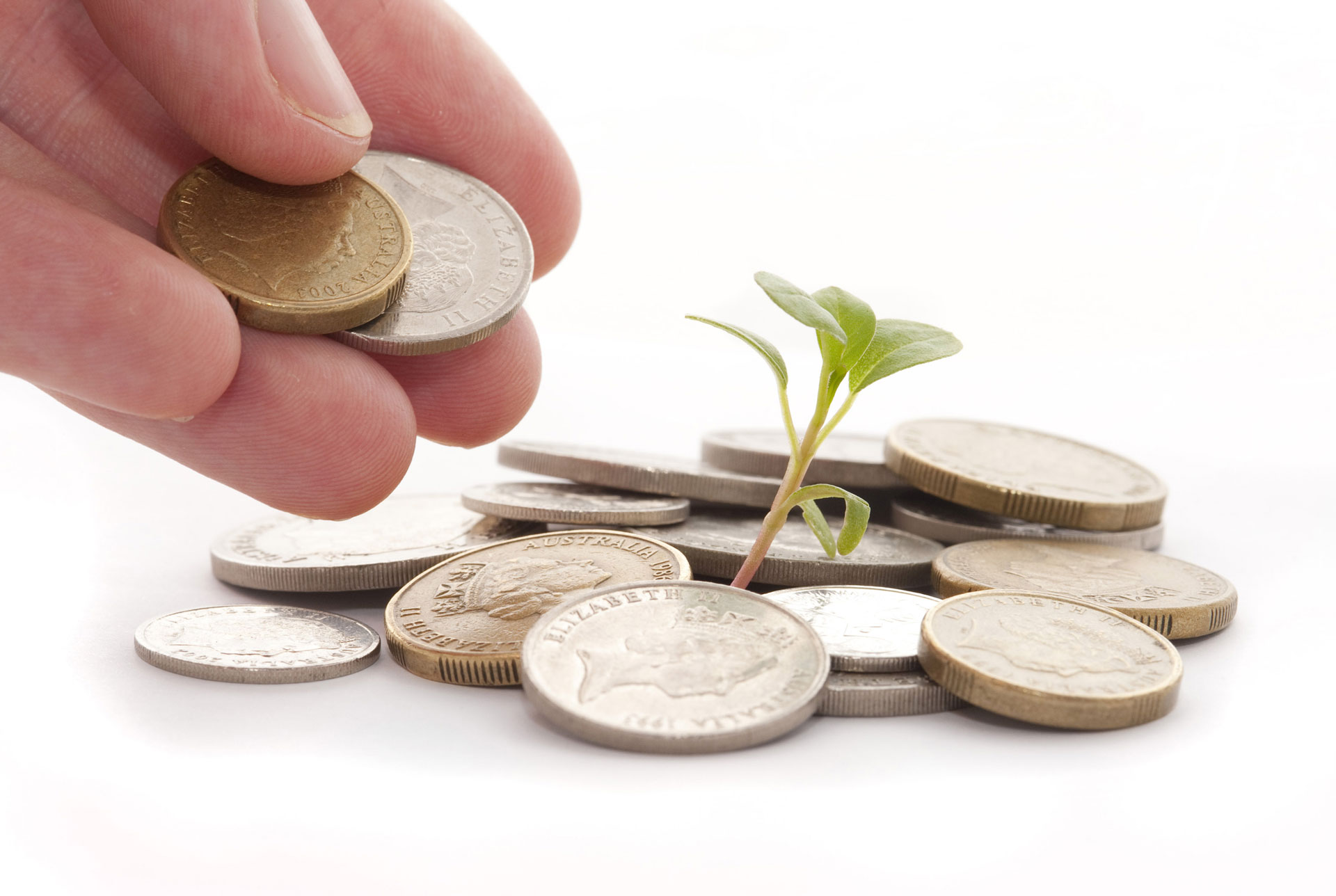 Nonprofit consulting image of a hand with coins and a plant